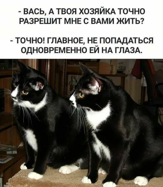 Мем, Смехалка