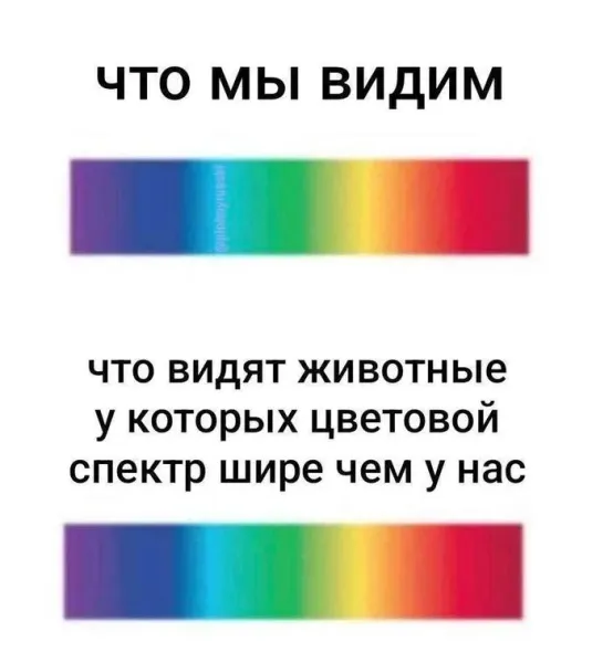 Мем, Смехалка