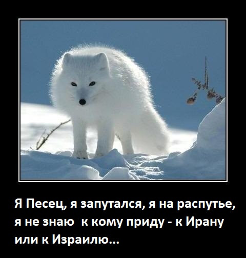 Мем, Mghost