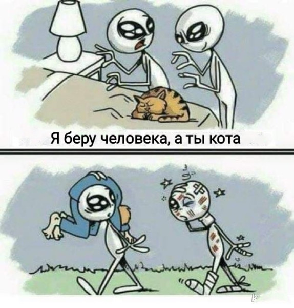 Мем, Рысь