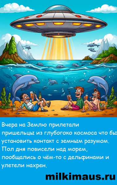 Мем, Лис Интересный