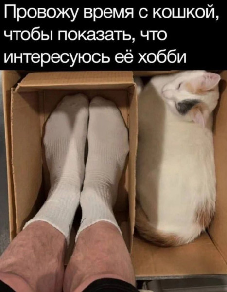 Мем, Леонид Хлыновский