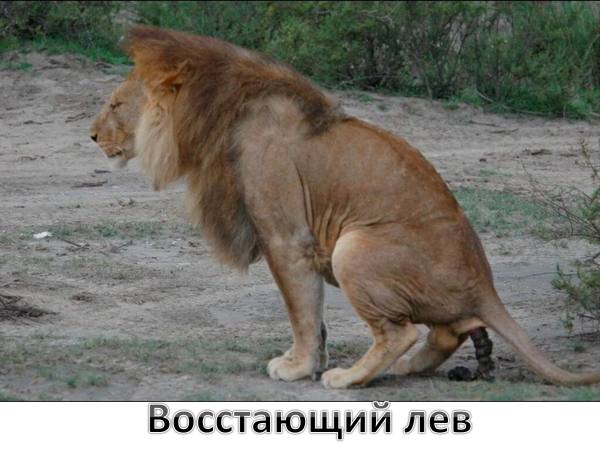 Мем