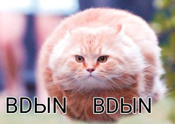 Мем: BDЫN BDЫN, БДЫН МЭН Мем: BDЫN BDЫN, БДЫН МЭН