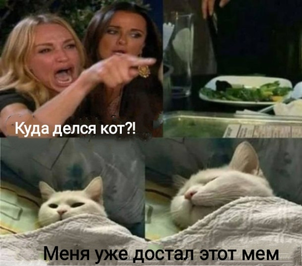 Мем, Рысь