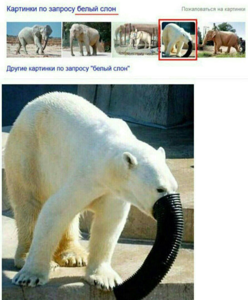 Мем, Леонид Хлыновский