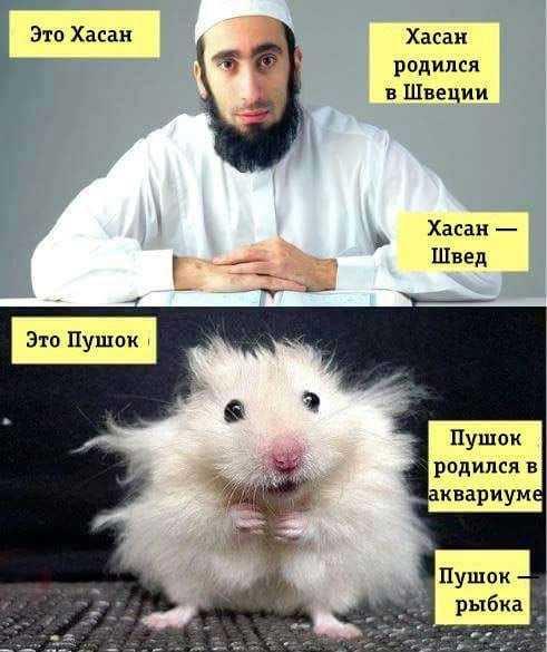 Мем, Максим Камерер