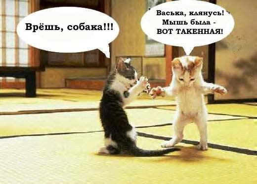 Мем, Treloni_Esq