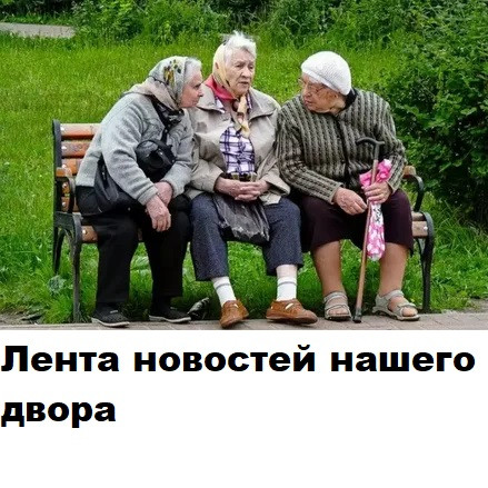 Мем, Лис Интересный