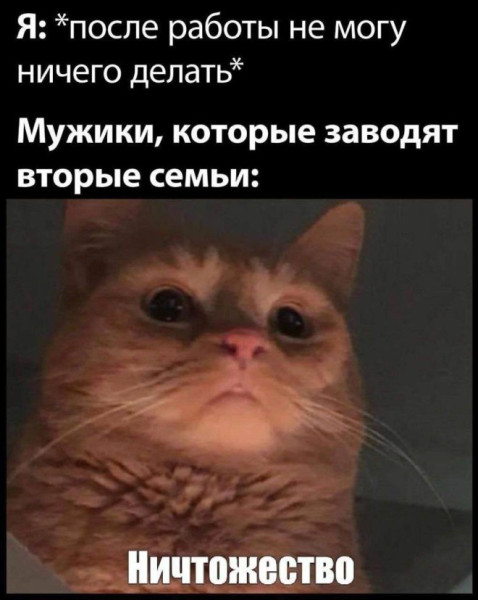Мем: Юмор, iteam