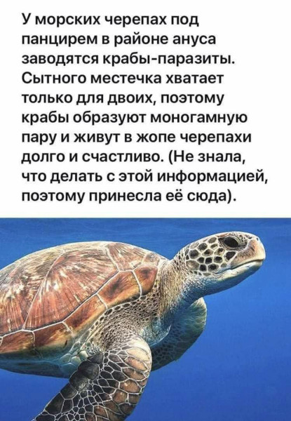 Мем, Смехалка