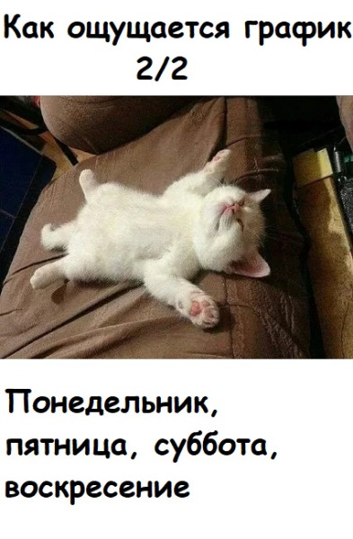 Мем, Лис Интересный