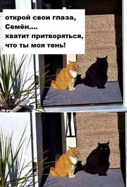 Мем: Юмор, iteam