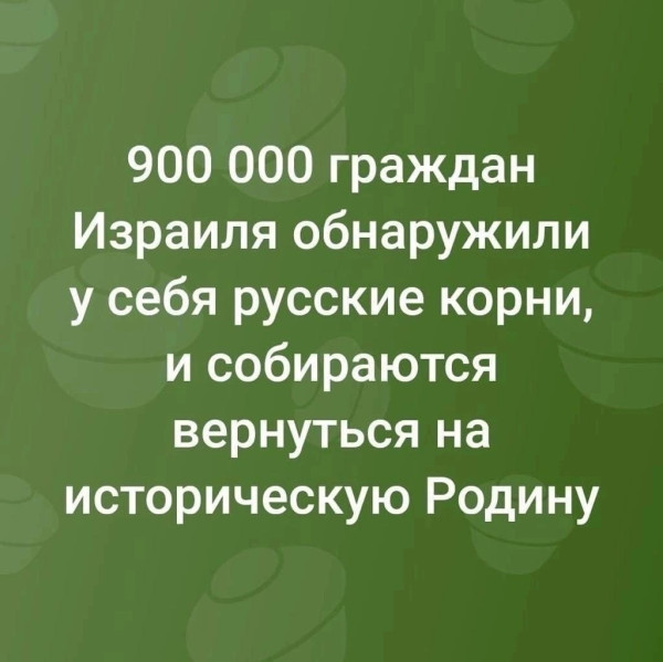 Мем, Максим Камерер