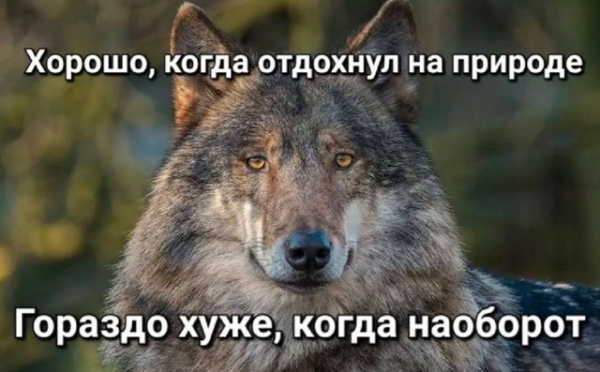 Мем, Ymir
