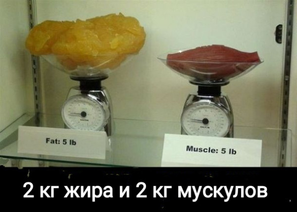 Мем, Рысь