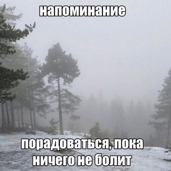 Мем: Прикол дня, iteam