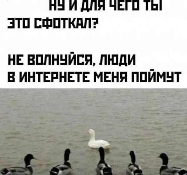 Мем: Юмор, ЕкатеринКА