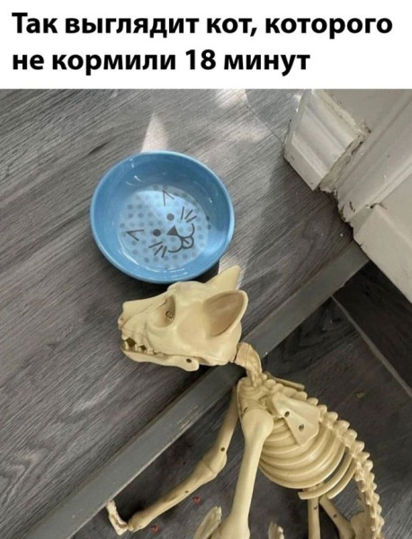 Мем: Юмор, ЕкатеринКА