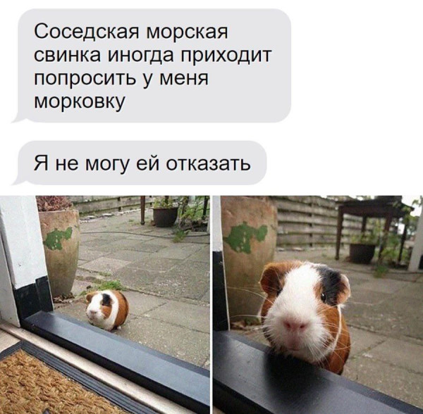 Мем, Смехалка