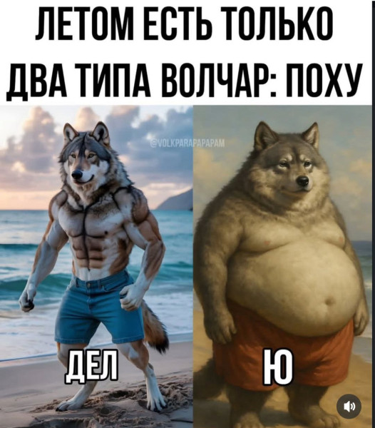 Мем, Максим Камерер