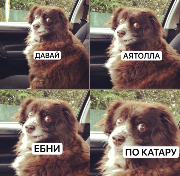 Мем, alexx__ka