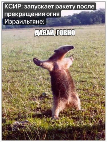 Мем, alexx__ka