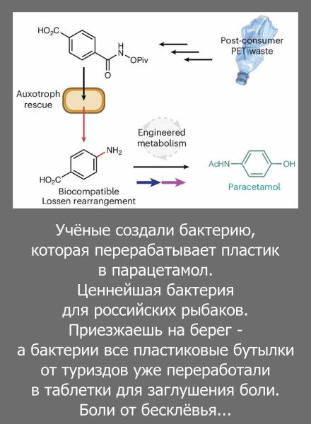 Мем, Волгоградский рыболов