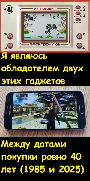 Мем, Лис Интересный