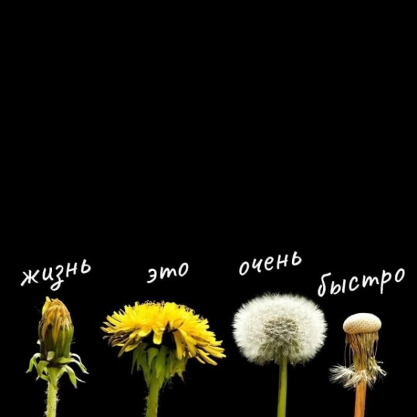 Мем, Смехалка