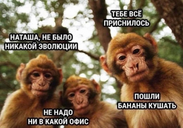 Мем, Смехалка