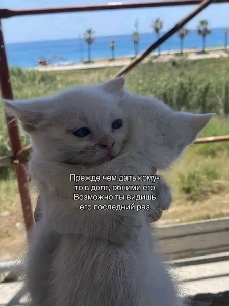 Мем, Леонид Хлыновский
