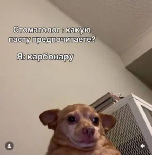 Мем, Леонид Хлыновский