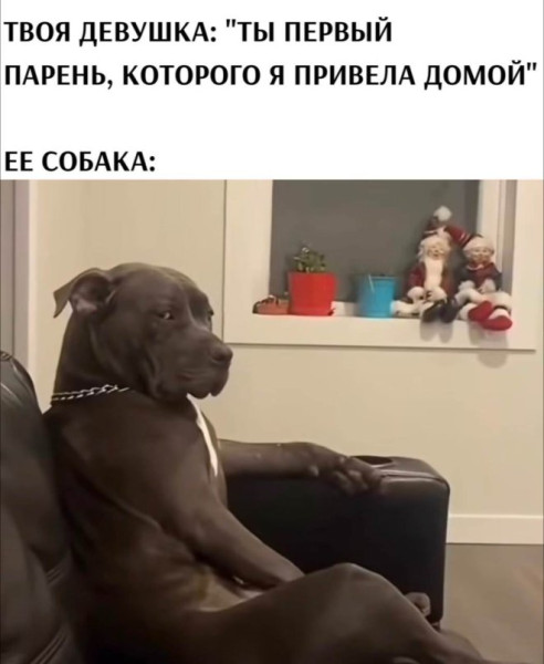 Мем, Смехалка Мем, Смехалка