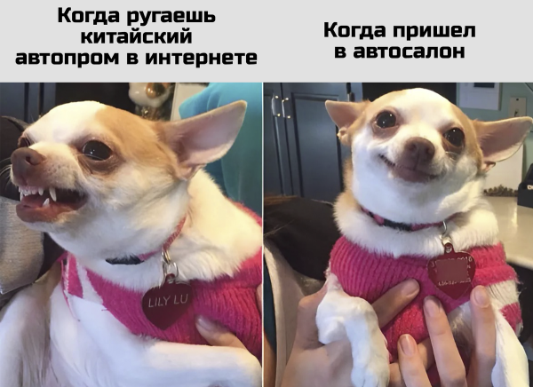 Мем, Mghost