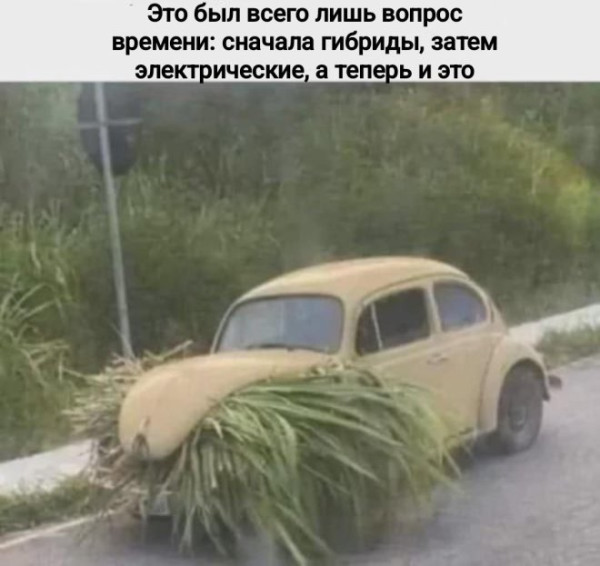 Мем, Treloni_Esq Мем, Treloni_Esq