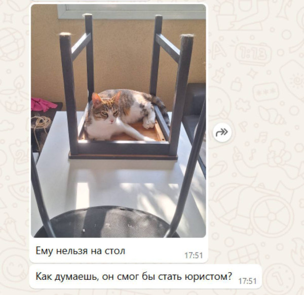 Мем, Смехалка