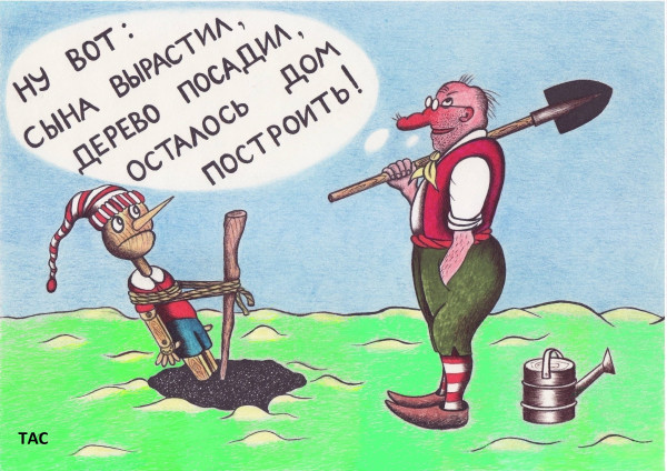 Мем: Осталось дом построить., Александр Троицкий