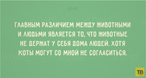 Мем, Treloni_Esq