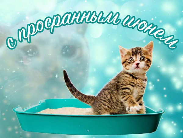 Мем, Леонид Хлыновский