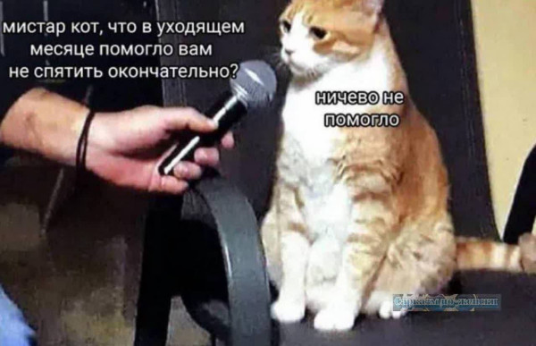 Мем, ArsenZahar