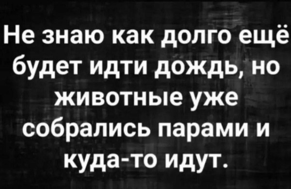 Мем, anberg