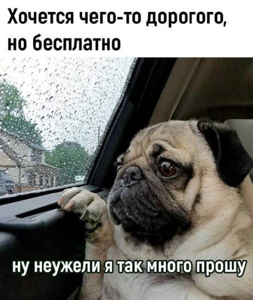Мем, Микки Маус