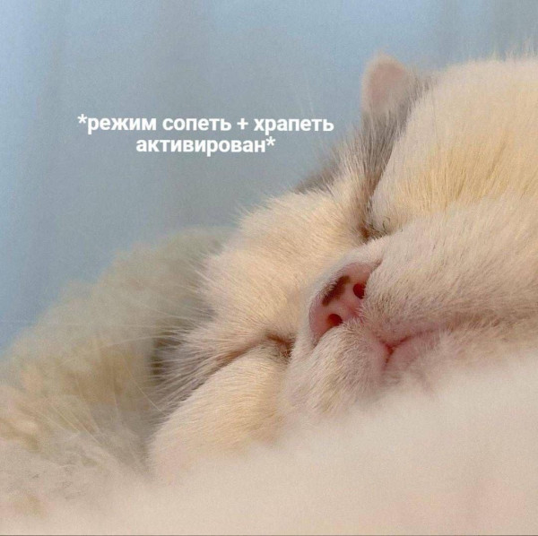 Мем, Леонид Хлыновский