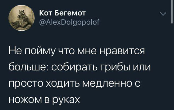 Мем, Максим Камерер