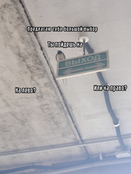 Мем: Большой выбор, Терри