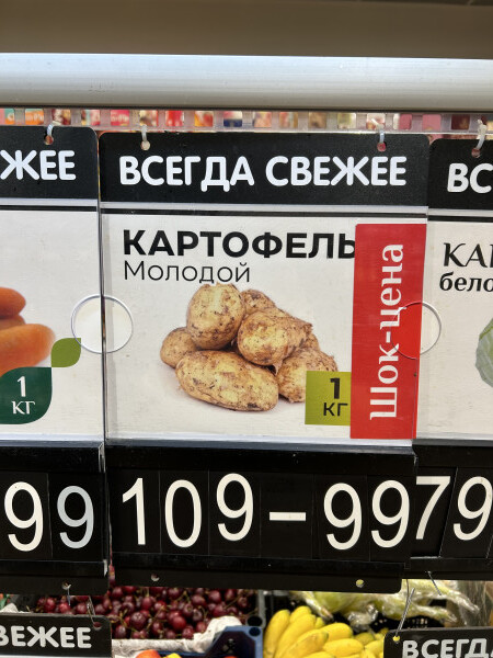 Мем: Реально Шок-цена, Шпалыч