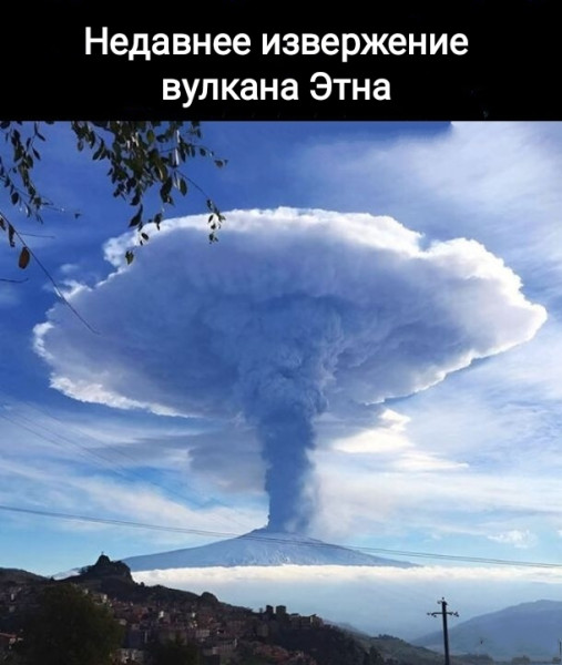 Мем, Рысь