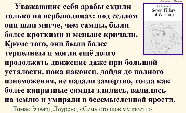 Мем, Александр САН