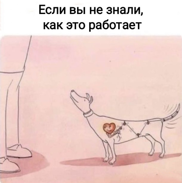 Мем, Рысь